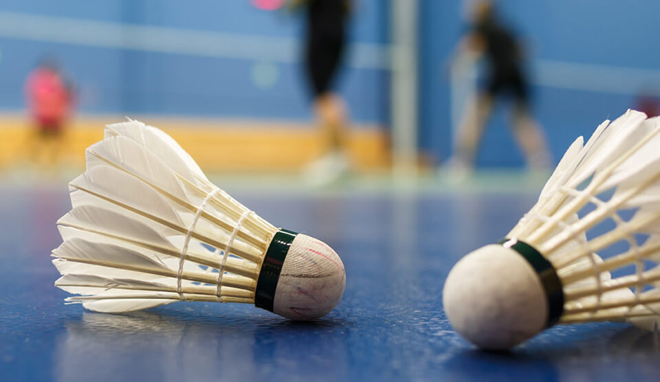 Badminton Direkleri